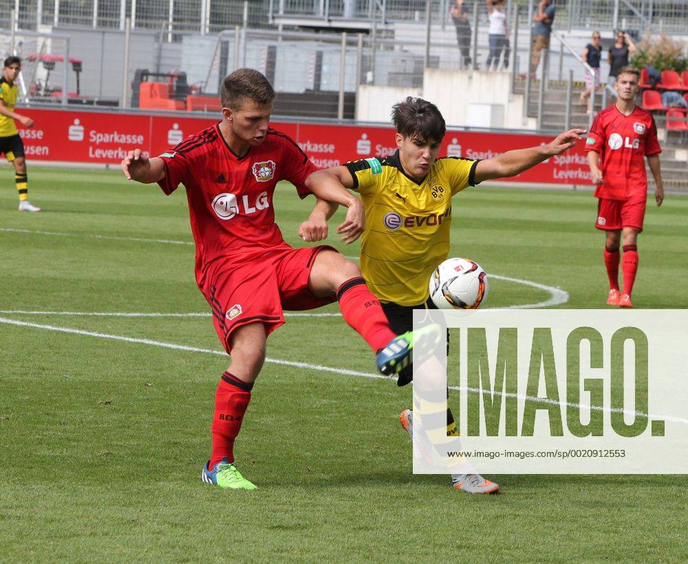 A-Junioren Bundesliga, Staffel West, Saison 2015 2016, 4. Spieltag, Bayer Leverkusen - Borussia Dortmund. -- Ole Päffgen (Bayer Leverkusen links) und Dario Scuderi ( Dortmund )