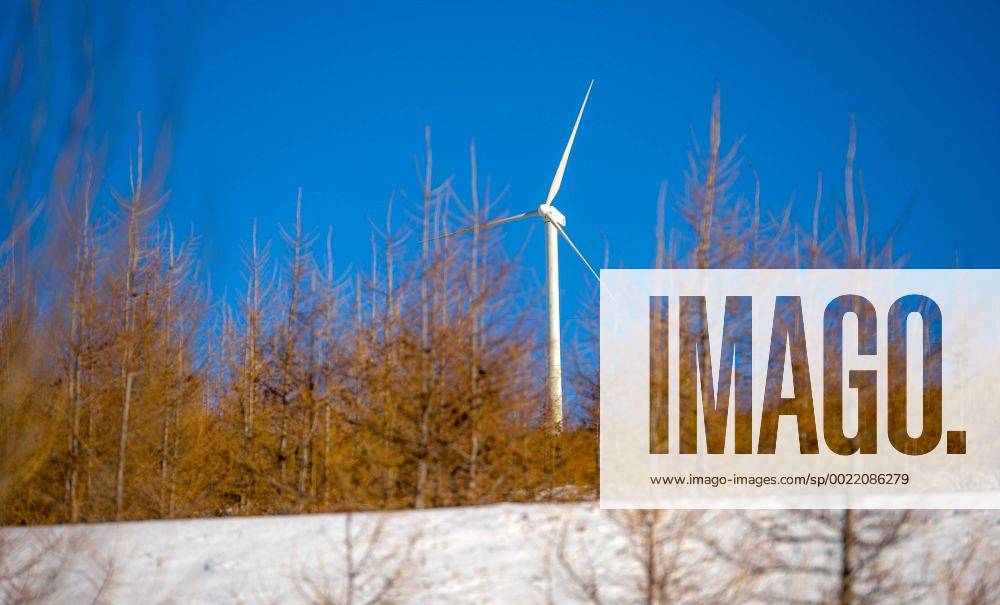 Olympia 2022, Fotostory Ski-Resort Zhangjiakou A wind turbine whirls to generate electricity at a ski resort in Chongli county, Zhangjiakou city, north China s Hebei province, 4 December 2015. Having competed at the Winter Olympics twice since 2010, Norwegian snowboarder Stale Sandbech is familiar with world-class ski resorts. But the experience of training at the Genting Resort Secret Garden in Zhangjiakou, Hebei province, went beyond his expectations. As a proposed venue for snow sports in Beijing s 2022 Olympics plan, Secret Garden, a ski and tourism complex in Zhangjiakou s Chongli county, about 220 kilometers northwest of Beijing, has finished the initial design for freestyle skiing and snowboarding, and will cooperate with foreign event and resort operators to complete the rest of its facilities to high standards, the resort announced last week. The two snow events will be held on refurbished trails and at a new snowboard park designed by Ecosign, a Canadian resort-planning company that served the 2010 and 2014 Winter Olympics. The park will have Asia s biggest half-pipe and International Ski Federation-standard slopestyle courses, according to the resort s plan. Ski resort in Zhangjiakou on track for world-class status 20151207_14834
