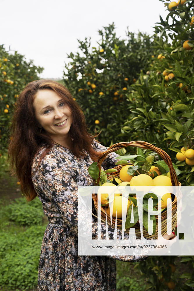 Happy redhead woman standing with basket of oranges model released, Symbolfoto, NJAF00212