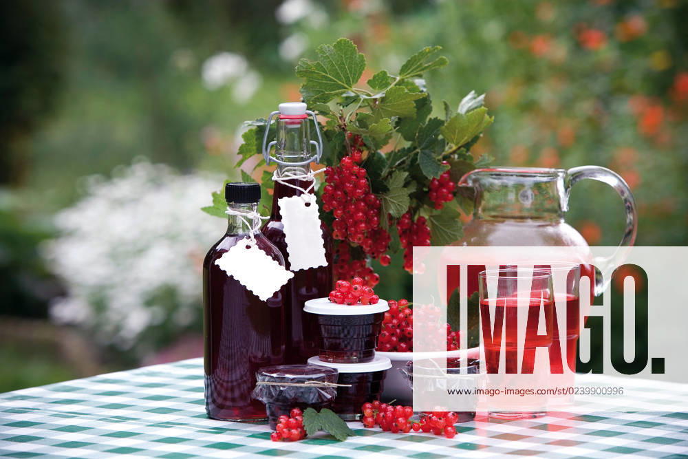 Red currant