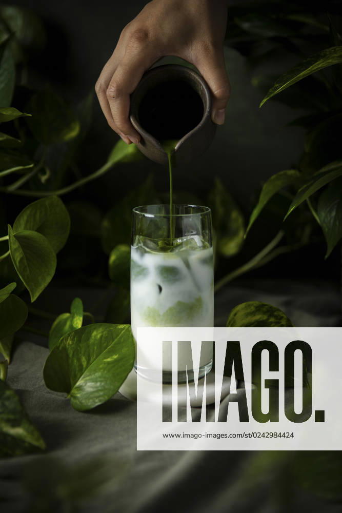A healthy Iced Matcha with Houseplants A healthy Iced Matcha with Houseplants