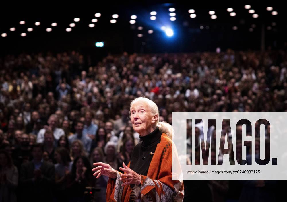 THE HAGUE - Jane Goodall during a lecture at the World Forum. Jane Goodall gained worldwide fame for her research on chimpanzees. ANP RAMON VAN FLYMEN netherlands out - belgium out