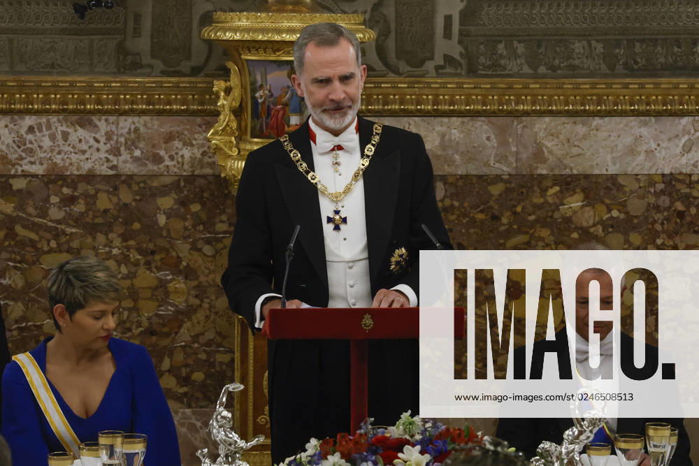 Spain s King Felipe VI (C) delivers a speech next to Colombian First Lady Veronica Alcocer (L) and Spanish Senate speaker Ander Gil (R) during a gala dinner held in their honor on occasion of their visit to the country, at the Royal Palace in Madrid. Colombia s President Gustavo Petro and First Lady Veronica Alcocer visit Spain !ACHTUNG: NUR REDAKTIONELLE NUTZUNG!
