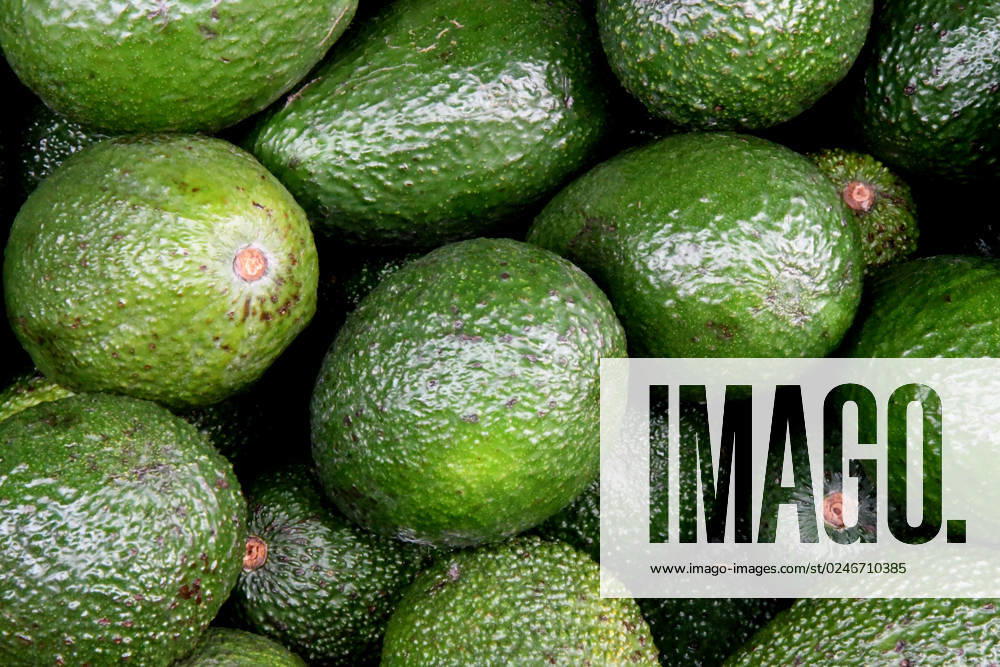 Copenhagen Denmark 05 May 2023 Avocado fruit from Spain is dispay for sale in danish grocery store in danish capital. (Photo.Francis Joseph Dean Dean Pictures)