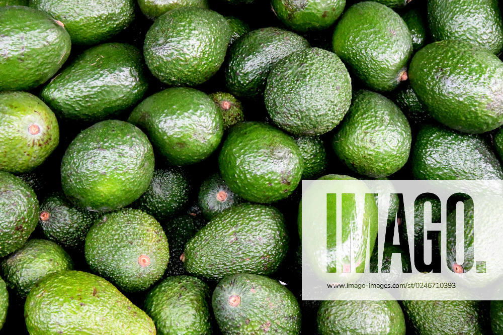 Copenhagen Denmark 05 May 2023 Avocado fruit from Spain is dispay for sale in danish grocery store in danish capital. (Photo.Francis Joseph Dean Dean Pictures)
