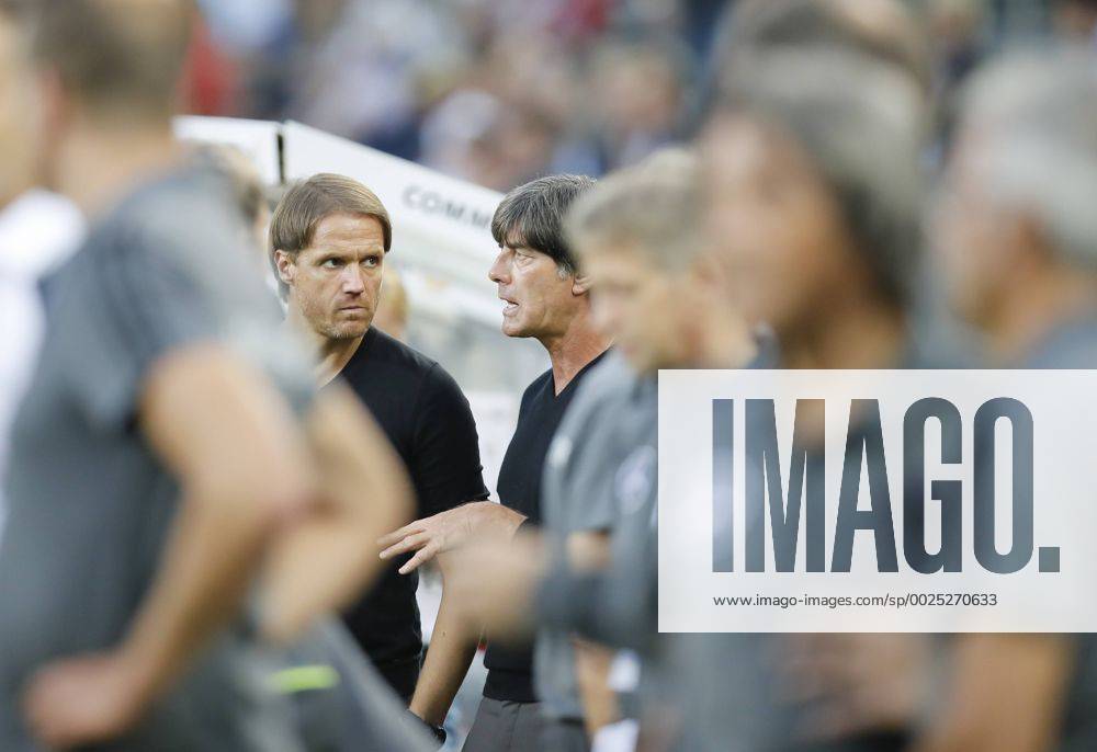 DFB Bundestrainer Joachim Jogi LOEW, LÖW,Thomas SCHNEIDER, DFB Co-Trainer, Assistenztrainer reden, diskutieren, streiten, unterhalten, Aktion DEUTSCHLAND - FINNLAND 2-0 Freundschaftsspiel, friendly match, Deutsche Fussball Nationalmannschaft, DFB am 31.08.2016 in Moenchengladbach.
