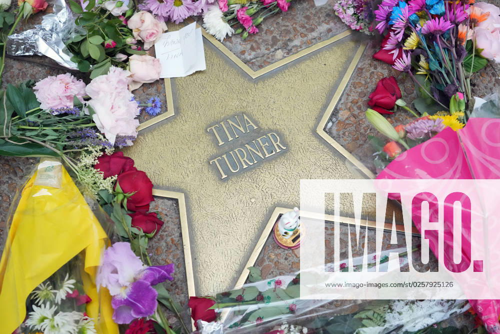 Bilder des Jahres 2023, Entertainment 05 Mai Entertainment Themen der Woche KW21 The Tina Turner star on the St. Louis Walk of Fame is covered with flowers and notes in University City, Missouri on Thursday, May 25, 2023. Turner , born Anna Mae Bullock was known as the Queen of Rock and Roll and was raised in St. Louis. She died of natural causes at the age of 83 on May 24, 2023 at her home near Zurich, Switzerland. SLP2023052502 BILLxGREENBLATT