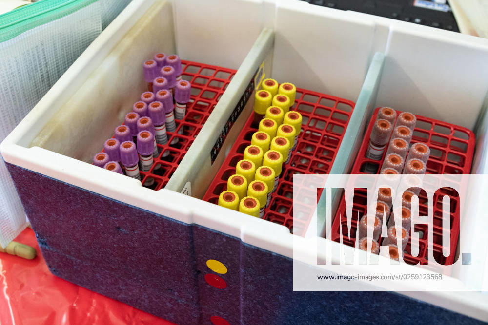 Blick in eine Kuehlbox mit Proberoehrchen fuer die Laboruntersuchung des gespendeten Blutes, Themenfotos BLUTSPENDE anlaesslich der Blutspende-Kampagne des Deutschen Roten Kreuzes mit der Aktion missingtype zum Weltblutspendetag am 14. Juni 2023, Fototermin am 05.06.2023 im Schulzentrum Pesch in Koeln,