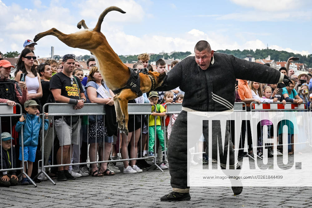 Czech Military celebrates 30 years of its existence in Prague, Czech Republic, June 28, 2023. Pictured is a demonstration of service dog training. (CTKxPhoto VitxSimanek) CTKPhotoP2023062803859 CTKPhotoP2023062803859