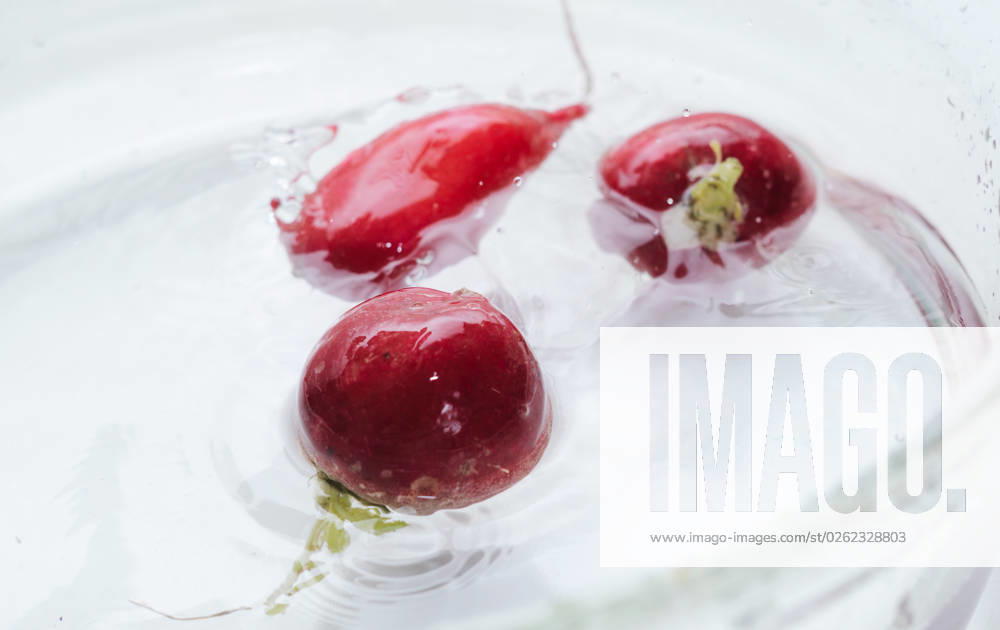 Fresh radish in water splash. Healthy food background. Spring or Summer background. Ethically sourced ingredients. Eco friendly production Fresh radish in water splash. Healthy food background. Spring or Summer background. Ethically sourced ingredients. Eco friendly production. High quality photo