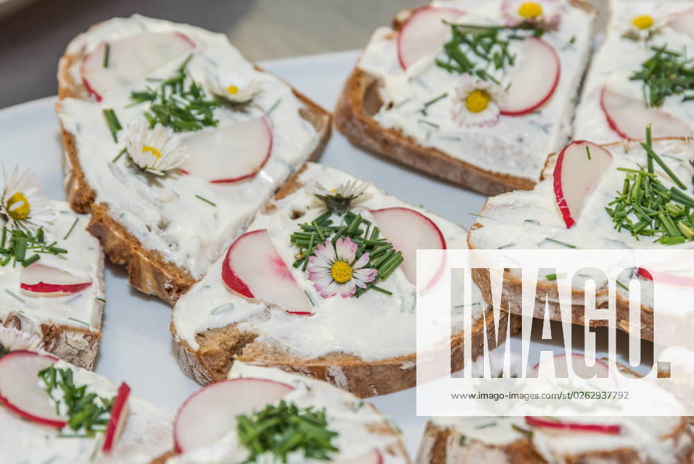Vegetarischer Brotaufstrich - gesund und natürlich vegetarischer Brotaufstrich, belegt mit Rettich, Schnittlauch und Gänseblümchen