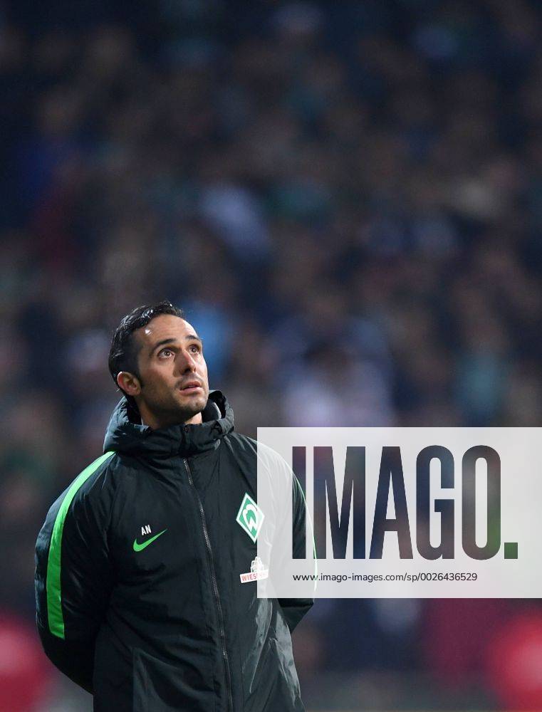 FUSSBALL 1. BUNDESLIGA 13. SPIELTAG SAISON 2016 2017 SV Werder Bremen - FC Ingolstadt 03.12.2016 Trainer Alexander Nouri (SV Werder Bremen)