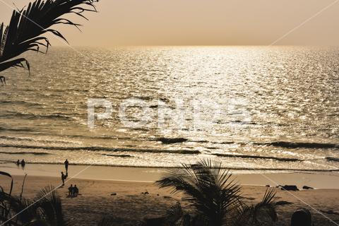 Panorama landscape view of a beautiful tropical sea beach in sunset time during christmas holiday. ( MUMBAI, MAHARASTRA, INDIA). Travel vacation and holiday concept. silhouette, vacation, sunrise, resort, summer, sun, sky, paradise, palm-tree, travel, coconut, orange, nature, exotic, dusk, trees, yellow, island, ocean, evening, background, light, twilight, sunlight, scenery, tranquil, scene, water, leaf, sundown, golden, caribbean, maldives, tropic, coastal-sand, thailand, holiday, colorful, shore-coast, asia, lagoon, miami, hawaii, islands, bali, morning, lucia, bahamas, jamaica, wave