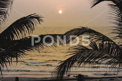 Panorama landscape view of a beautiful tropical sea beach in sunset time during christmas holiday. ( MUMBAI, MAHARASTRA, INDIA). Travel vacation and holiday concept. silhouette, vacation, sunrise, resort, summer, sun, sky, paradise, palm-tree, travel, coconut, orange, nature, exotic, dusk, trees, yellow, island, ocean, evening, background, light, twilight, sunlight, scenery, tranquil, scene, water, leaf, sundown, golden, caribbean, maldives, tropic, coastal-sand, thailand, holiday, colorful, shore-coast, asia, lagoon, miami, hawaii, islands, bali, morning, lucia, bahamas, jamaica, wave
