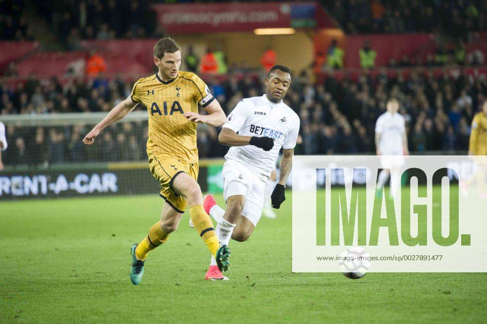Football - 2016 2017 Premier League - Swansea City vs. Tottenham Hotspur Jan Vertonghen of Tottenham Hotspurs defends , at The Liberty Stadium. COLORSPORT WINSTON BYNORTH