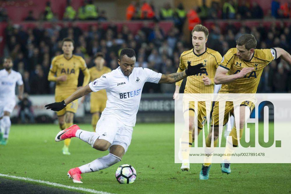 Football - 2016 2017 Premier League - Swansea City vs. Tottenham Hotspur Jordan Ayew of Swansea attacks, at The Liberty Stadium. COLORSPORT WINSTON BYNORTH