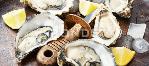 Fresh oysters of ice and lemon on retro metal background oyster, shell, fresh, knife, raw, shellfish, seafood, mollusk, food, lemon, closeup, expensive, ice, bivalve, open, appetizer, sea, fish, delicatessen, luxury, half, delicious, edible, eating, dish, oyster shell, crustacean, fresh oyster, ocean, oysters shell, prepared, opened, mollusc, marine, fresh food, seafood cooking, oysters plate, seafood dish, uncooked, oyster meat, pricey