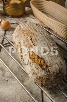 Homemade rustic bread, baked in oven, wheat leaven, breaded in a basket bread, bakery, food, fresh, background, wheat, loaf, organic, flour, grain, wooden, table, whole, white, baking, healthy, bake, meal, rustic, breads, brown, dough, breakfast, agriculture, eating, rye, closeup, dark, traditional, baked, wood, homemade, isolated, baguette, gourmet, natural, pastry, diet, seed, oat, black, basket, leaven, bio