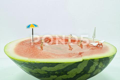 The characters swimming in the watermelon pool water, fun, swimming, summer, underwater, nature, swim, leisure, spray, natural, aquatic, fresh, healthy, scuba, tropical, poolside, farm, recreation, holiday, splash, diving, funny, duck, aqua, background