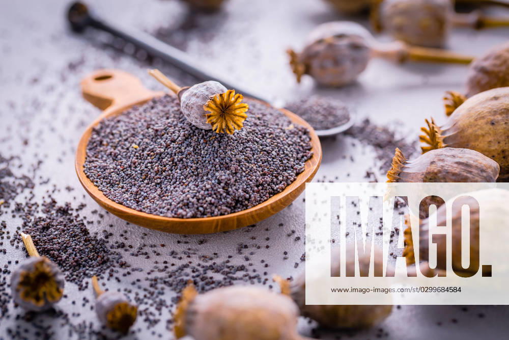 IMAGO Creative: Food, Mohn Organic poppy seeds in small bowl with poppy heads Organic poppy seeds in small bowl with poppy heads