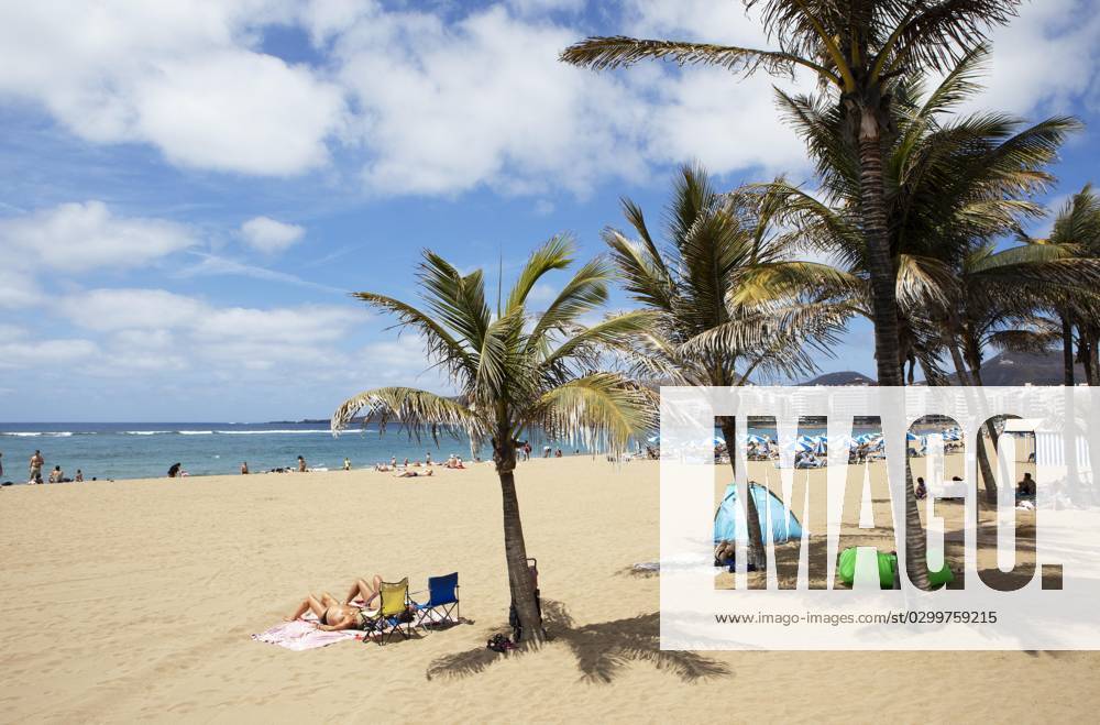 Strand Playa de las Canteras, Las Palmas, Provinz Las Palmas, Gran Canaria, Kanarische Inseln, Spanien, Palme, baden, Bikini, Meer, Sonne, Europa
