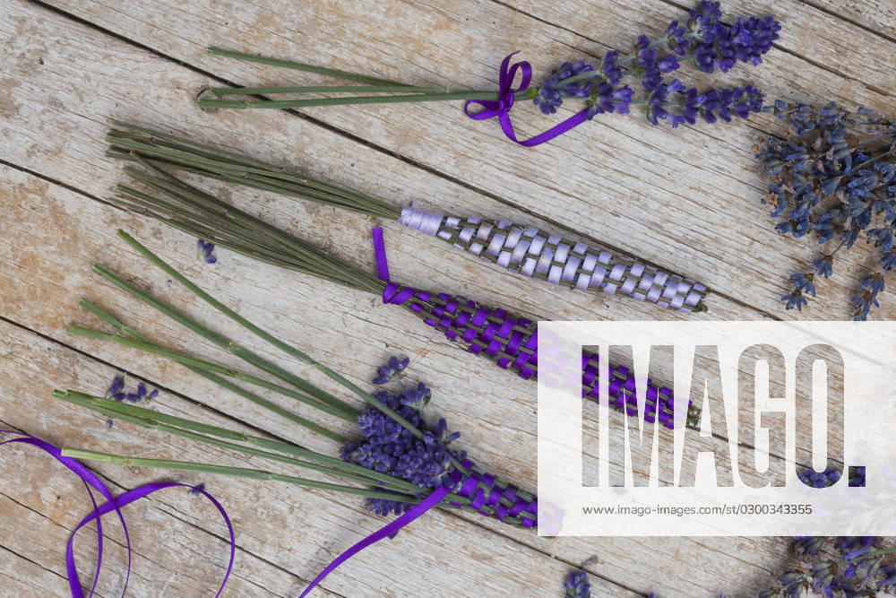 Lavendel, Schmalblaettriger Lavendel, Echter Lavendel (Lavandula angustifolia, Lavandula officinalis), Lavendelstaebe, frischer Lavendel mit Satinband umweben als Duftstaebe fuer den Waescheschrank English lavender (Lavandula angustifolia, Lavandula officinalis), lavender sticks, fresh lavender wrapped with satin ribbon for linen cupboard BLWS688375