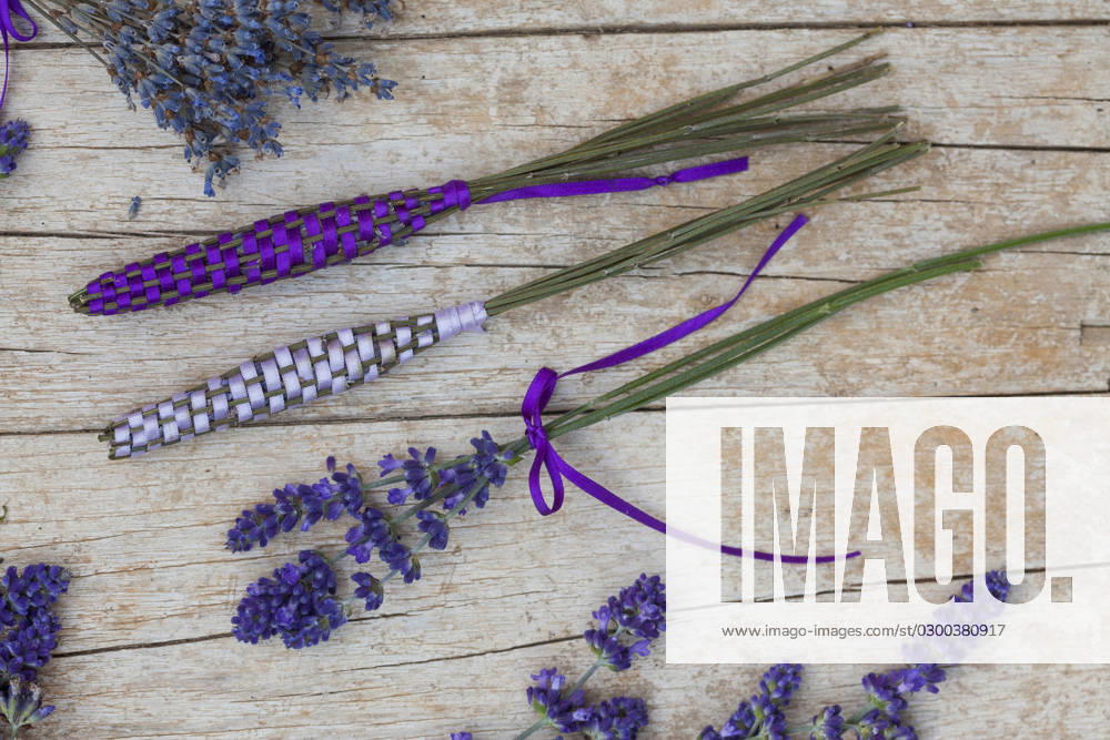 Lavendel, Schmalblaettriger Lavendel, Echter Lavendel (Lavandula angustifolia, Lavandula officinalis), Lavendelstaebe, frischer Lavendel mit Satinband umweben als Duftstaebe fuer den Waescheschrank English lavender (Lavandula angustifolia, Lavandula officinalis), lavender sticks, fresh lavender wrapped with satin ribbon for linen cupboard BLWS688372
