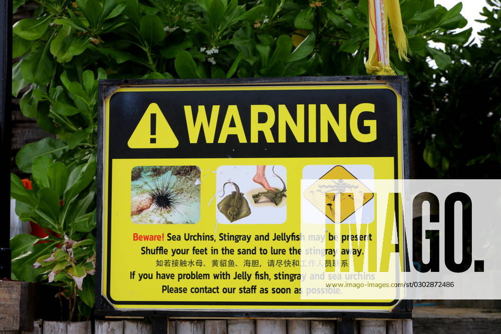 Thailand. Phuket. Thailand. Phuket. Cape Panwa, Ao Yong Long beach area. The situation in Thailand. Warm Sea, Halong Bay, Andaman Sea, Indian Ocean. Warning that there may be: jellyfish, hedgehogs, stingrays in the sea. Yellow flag MaksimxKonstantinov