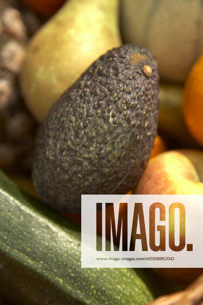 Organic fruit Close up shot of organic fruit Brendan O Sullivan Retna Photoshot CREDIT ALL USES DIGITAL FILE ONLY, Credit:Photoshot Retna Avalon