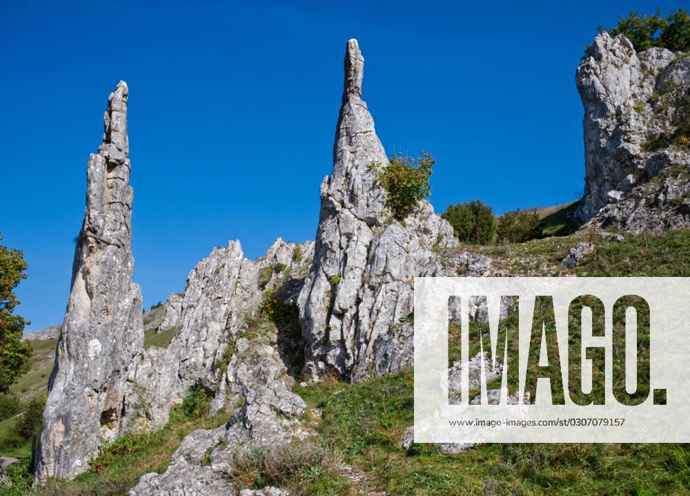 Dei Steinernen Jungfrauen genannten Felsen im Eselsburger Tal, Schwäbische Alb, Baden-Württemberg, Deutschland, Europa