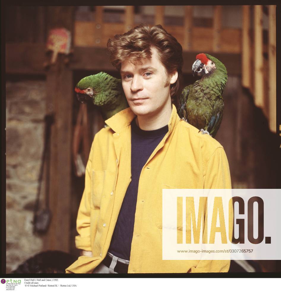 Hall_Dar_MP1 Daryl Hall ( Hall and Oates ) 1983 Credit all uses Retna Photoshot., Credit:Michael Putland Avalon