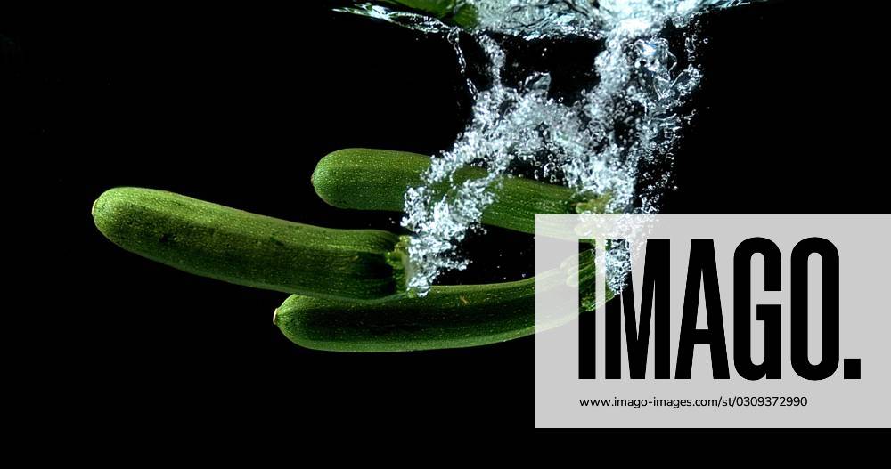 Lange Zucchini (cucurbita pepo), ins Wasser fallendes Gemüse vor schwarzem Hintergrund