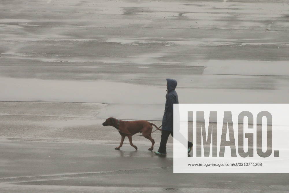 Passant Urlauber mit Hund im Regen zum Gassi gehen - gesehen am 09.10.2023 in Cuxhaven