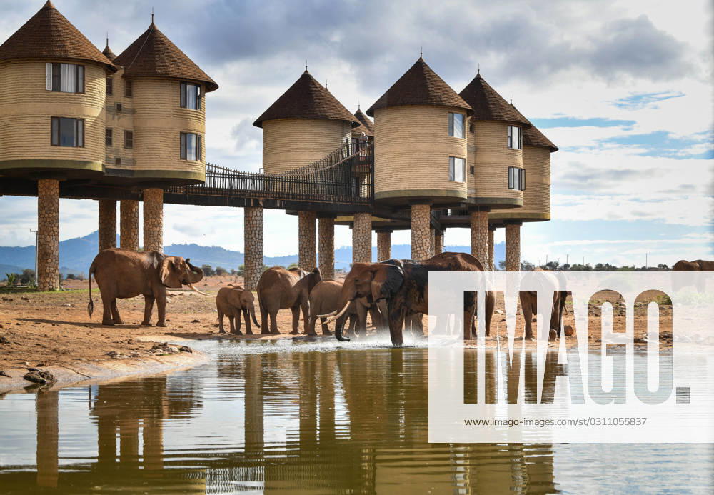 (231029) -- TAITA-TAVETA, Oct. 29, 2023 -- Elephants are seen in Taita Hills Wildlife Sanctuary, Taita-Taveta County, Kenya, Oct. 28, 2023. ) KENYA-TAITA-TAVETA-TAITA HILLS WILDLIFE SANCTUARY-SCENERY HanxXu