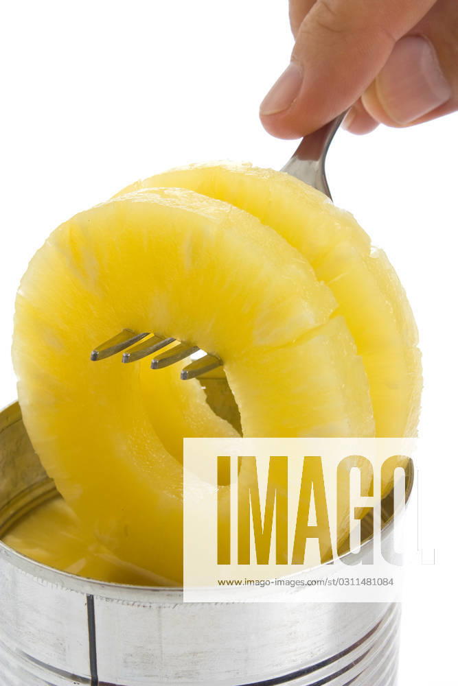 Pineapple ring on a fork isolated on white background , 1515280.jpg, pineapple, ring, fork, isolated, white, background, fruit, canned, food, dessert, juicy, hand, tin, RECORD DATE NOT STATED