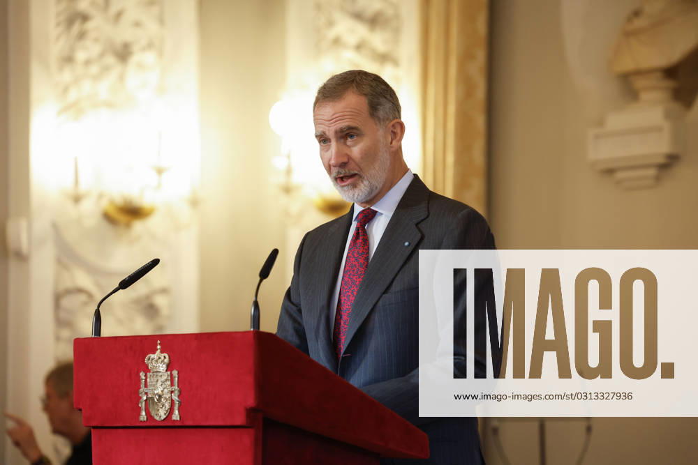 Spain s King Felipe VI delivers a speech during a gathering with the Spanish community in Copenhagen, Denmark, 08 November 2023, on the last day of his visit to Denmark. Spanish Royal couple visit Denmark !ACHTUNG: NUR REDAKTIONELLE NUTZUNG!