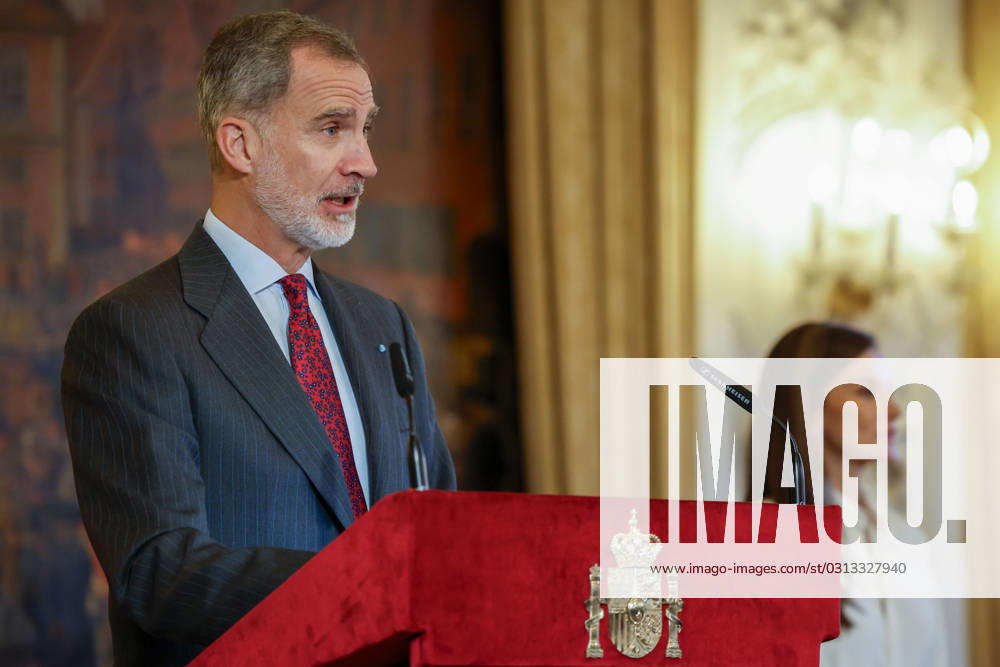 Spain s King Felipe VI delivers a speech during a gathering with the Spanish community in Copenhagen, Denmark, 08 November 2023, on the last day of his visit to Denmark. Spanish Royal couple visit Denmark !ACHTUNG: NUR REDAKTIONELLE NUTZUNG!