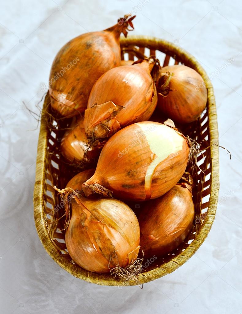 Onion (Allium cepa) also known as garden or bulb onion model released