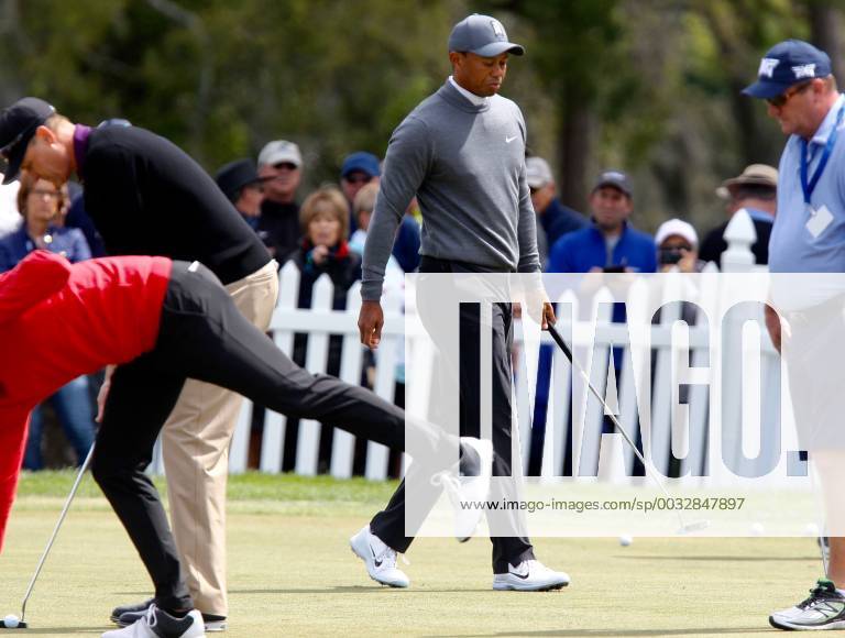 Palm Harbor, Florida, U.S. - Tiger Woods is on the practice green at the Valspar Championship 3 8 2018. He tees off for the first round at 12:46. Florida News - March 8, 2018 - ZUMAs70_ 82202887st