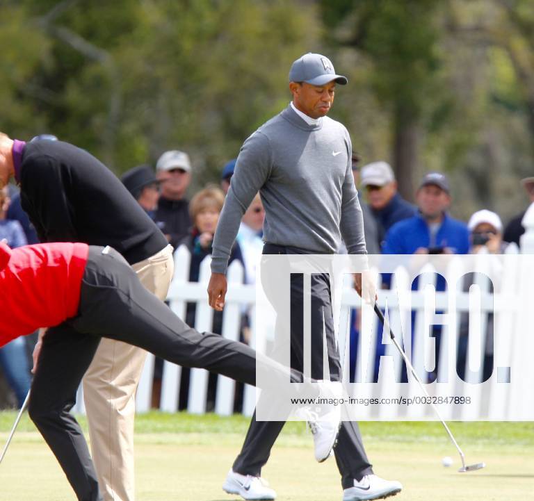 Palm Harbor, Florida, U.S. - Tiger Woods is on the practice green at the Valspar Championship 3 8 2018. He tees off for the first round at 12:46. Florida News - March 8, 2018 - ZUMAs70_ 82202888st