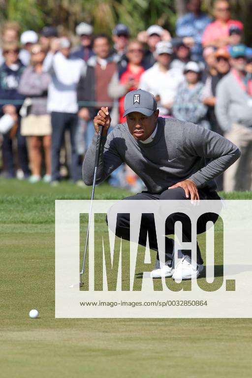 PALM HARBOR, FL - MARCH 08: Tiger Woods checks out the putting line during the first round of the Valspar Championship on March 08, 2018, at Westin Innisbrook-Copperhead Course in Palm Harbor, FL. (Photo by Cliff Welch Icon Sportswire) GOLF: MAR 08 PGA Golf Herren - Valspar Championship Icon3571803080221