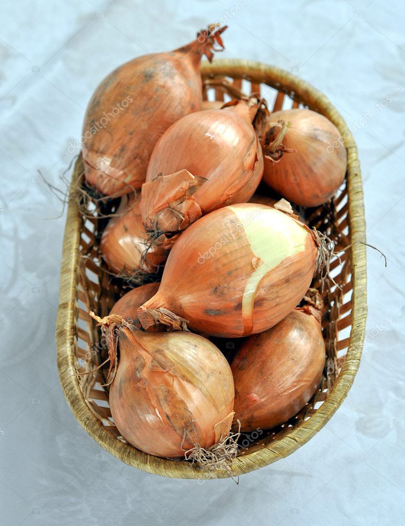 Onion (Allium cepa) also known as garden or bulb onion model released