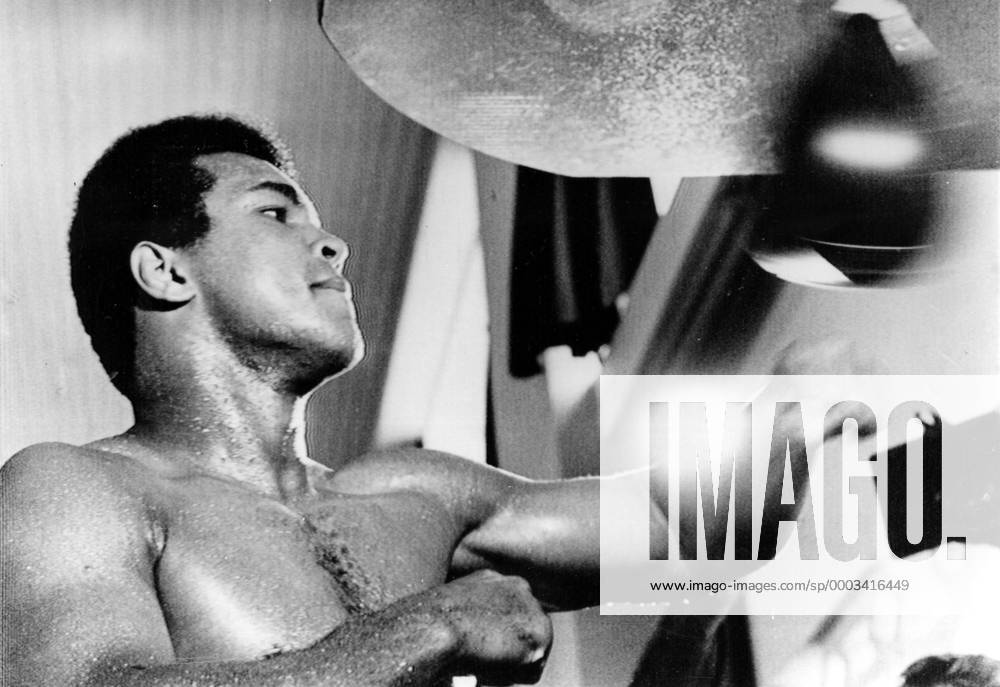 Muhammad Ali (USA) - Training am Punchingball - (ARK1974091937) Boxen Herren Boxsport 1974, Profiboxen, Schwergewicht, Punching Ball, Schlag, schlagen, Einzelbild Kinshasa Dynamik, Boxen Herren Boxsport 1974, Profiboxen, Schwergewicht, Punching Ball, Schlag, schlagen, Einzelbild Kinshasa Dynamik,