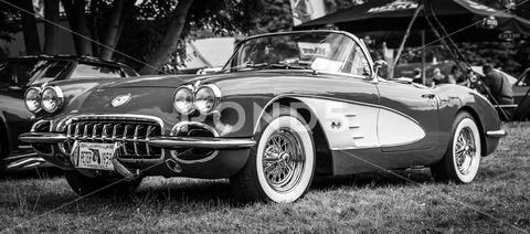 The sports car Chevrolet Corvette (C1), 1960. Black and white. The exhibition of "US Car Classics". america, american, ancient, antique, auto, automobile, automotive, car, classic, design, diedersdorf, exhibition, germany, machine, model, nostalgia, old, oldtimer, retro, style, transport, transportation, us, usa, vehicle, engine, sports car, exterior, Chevrolet, Corvette, Convertible, cabrio, cabriolet, 2-door, c1, Vette, muscle car, black, white, vintage