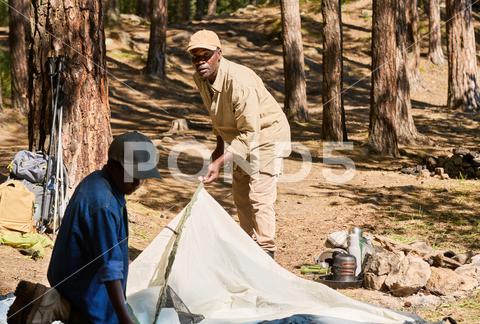 Senior African American man and his grandson putting tent in the forest among pinetrees on sunny summer weekend during hike trip trip, hiker, backpacker, travel, tourism, leisure, tent, forest, connection, countryside, camp, weekend, nature, family, help, grandson, grandfather, grandparent, grandchild, together, outdoor, country, boy, kid, childhood, youthful, youngster, schoolboy, man, mature, senior, generation, black man, African American, adult