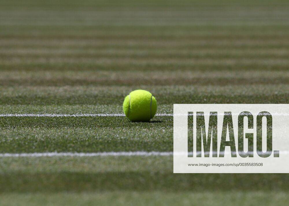 Wimbledon Feature, Tennisball auf dem Rasen, Nahaufnahme, Detail, Symbol,