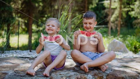Little chidren sitting near a lake and eating watermelon on hot sunny day during summer vacation. happiness, watermelon, fruit, kid, happy, green, nature, red, food, fun, picnic, healthy, outdoor, joy, health, juicy, eat, girl, childhood, slice, boy, nutrition, cute, sweet, smile, little, eating, cheerful, snack, summertime, caucasian, meal, enjoy, outside, melon, garden, water, delicious, friend, refreshment, holiday, brother, sister, freshness, warm, preschool, siblings