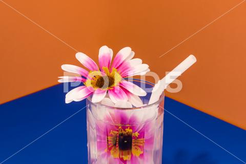 Transparent glass of refreshing cold drink decorated with pink flowers and straw placed on blue surface against bright orange wall beverage, drink, refreshment, straw, cocktail, glass, flower, cold, alcohol, fresh, bloom, delicious, colorful, plant, bright, pink, transparent, tasty, blossom, decoration, liquid, natural, creative, flavor, orange, color, decor, thirst, cool, lemonade, crystal, flora, decorate, floral, soda, nonalcoholic, glassware, water, aperitif, organic, fragrant, style, serve, detox, orange background