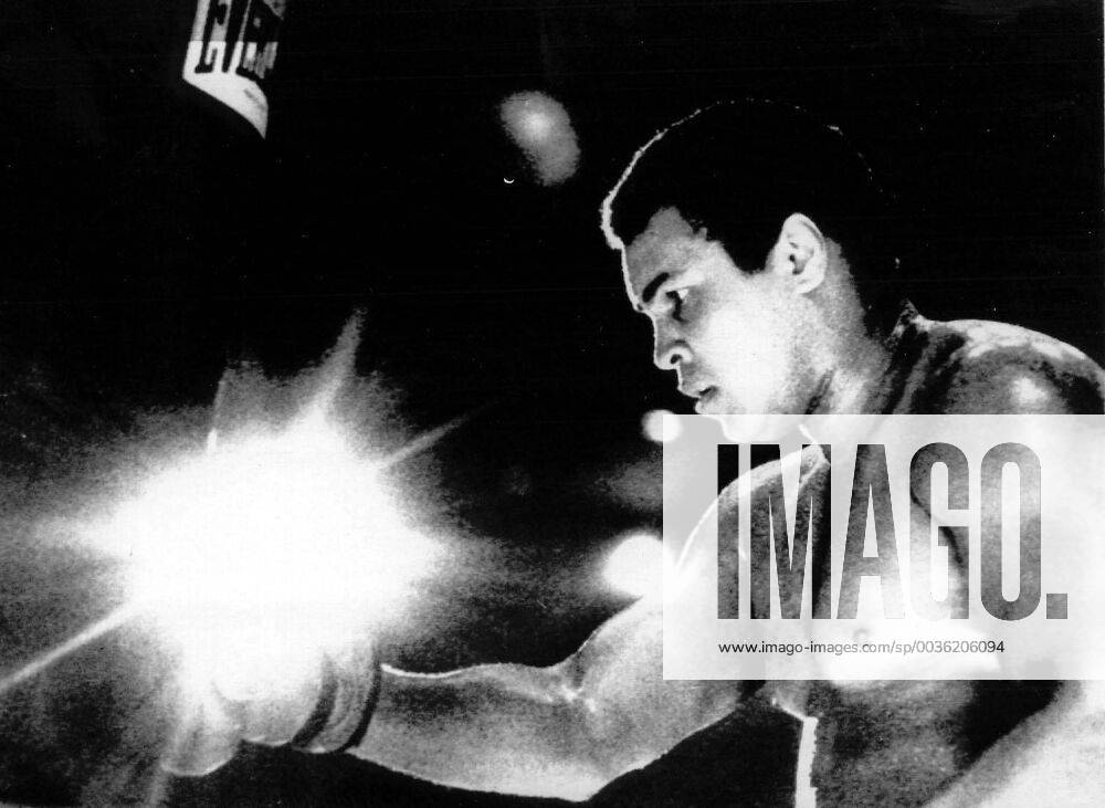 TRYING TO REGAIN THE SPOTLIGHT AS A BOXER IS NO EASY TASK FOR THE 39-YEAR-OLD FORMER CHAMPION MUHAMMAD ALI. ALI WORKS OUT WITH A HEAVY BAG DURING HIS TRAINING SESSION 03 12 IN REPARATION FOR HIS FIGHT AGAINST TREVOR BERBICK SCHEDULED FOR 11 12.. .JEP WST BELGA x85196604stx
