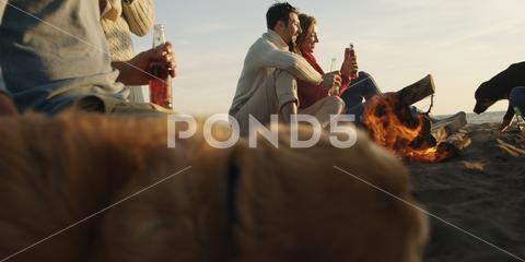 Group of friends with dog relaxing around bonfire on the beach at sunset beach, beautiful, beer, bonfire, campfire, carefree, cheers, day, diversity, drink, dusk, evening, fire, flame, friend, friendship, fun, group, guitar, hanging, happy, having, dog, holiday, laughing, leisure, men, autumn, nature, night, outdoors, party, people, recreation, relax, seaside, smiling, summer, sunset, together, selfie, vacation, women, young, youth, relaxing, focus, sea, sand